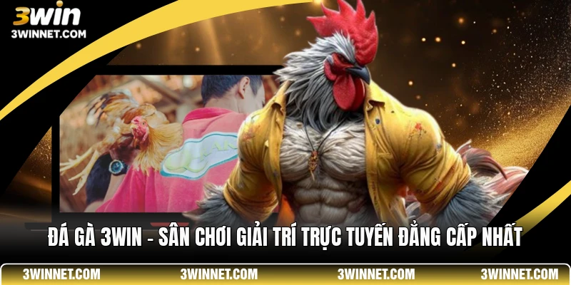 Những sảnh cược đá gà "thương hiệu" tại 3win