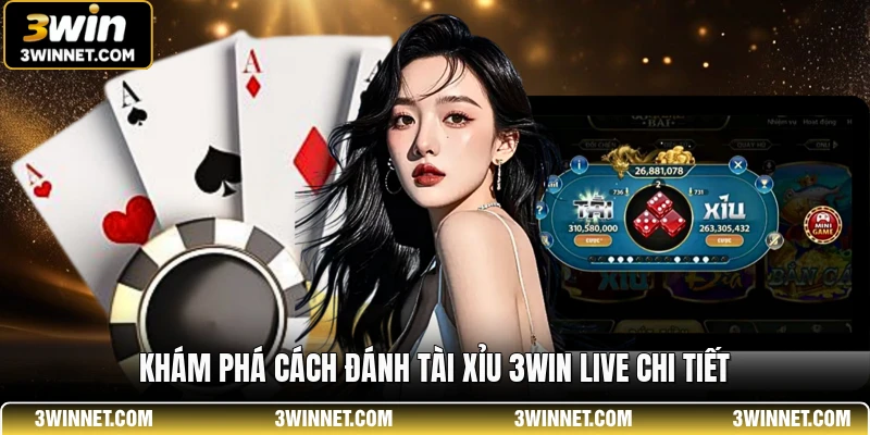 Khám phá cách đánh tài xỉu 3win live chi tiết