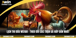 Lịch thi đấu ws168