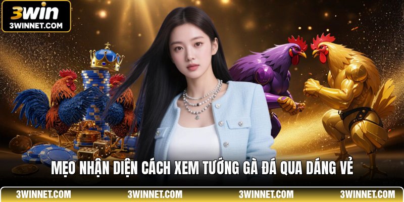 Mẹo nhận diện cách xem tướng gà đá qua dáng vẻ