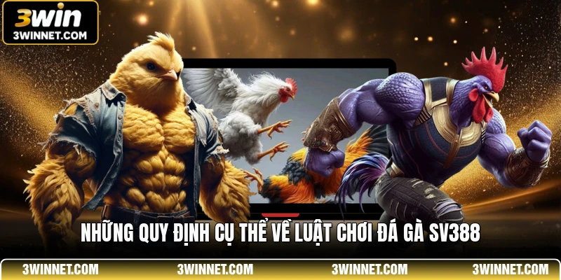 Những quy định cụ thể về luật chơi đá gà sv388