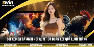 Soi kèo đá gà 3win