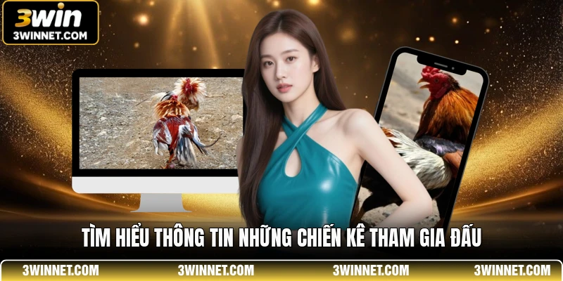 Tìm hiểu thông tin những chiến kê tham gia đấu